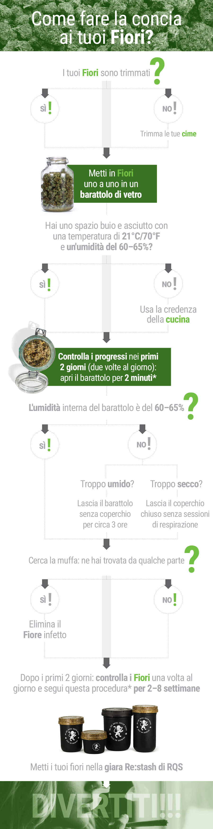 Come fare la concia ai tuoi Fiori? Come fare la concia ai tuoi Fiori?