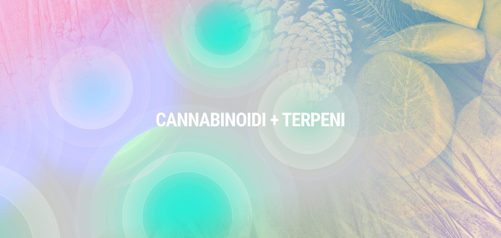 Cannabinoidi + Terpeni