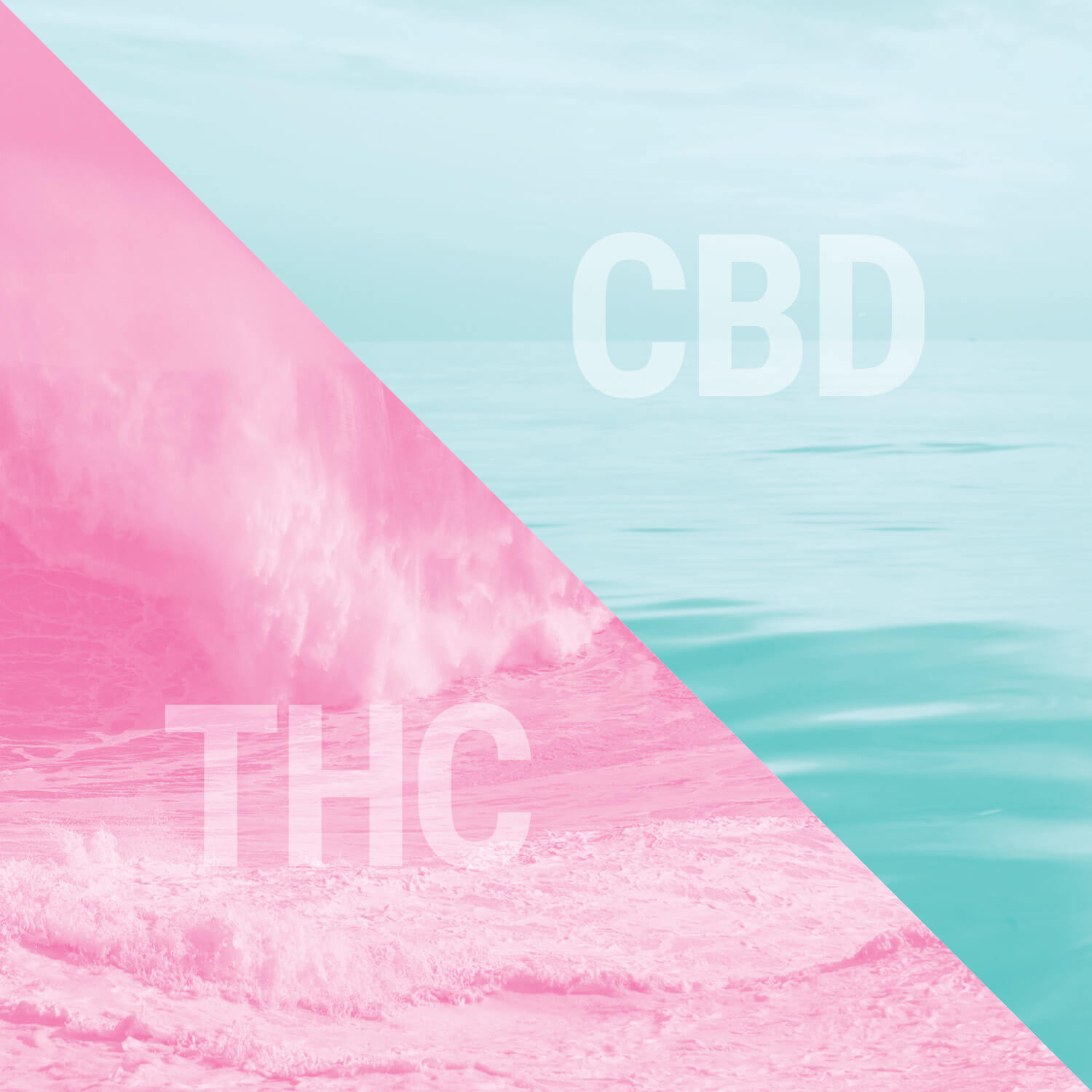 THC e CBD
