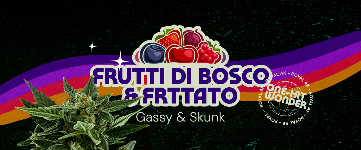 Profilo di Gusto e Aroma della Varietà Royal AK Cannabis Un'illustrazione di un bocciolo di cannabis con il testo