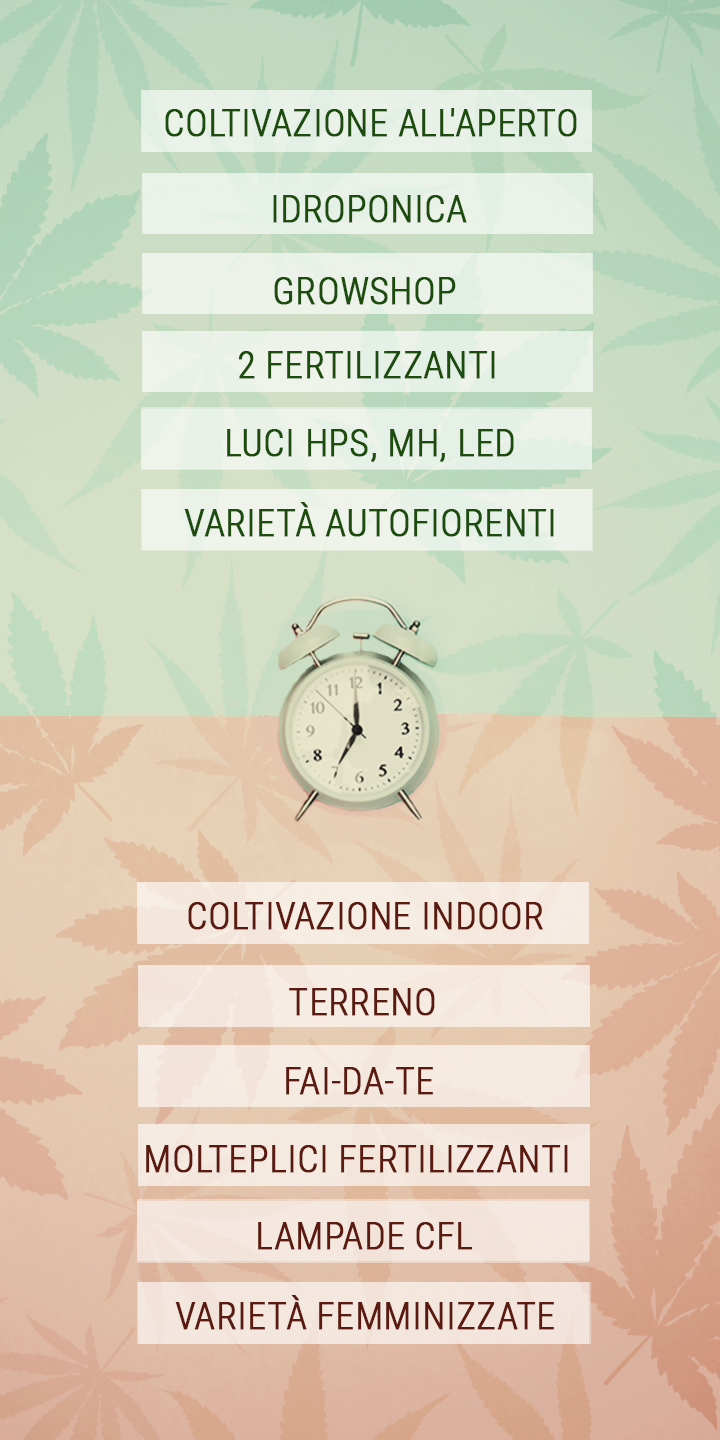 Consigli Salva-Tempo Per Coltivatori di Cannabis Impegnati