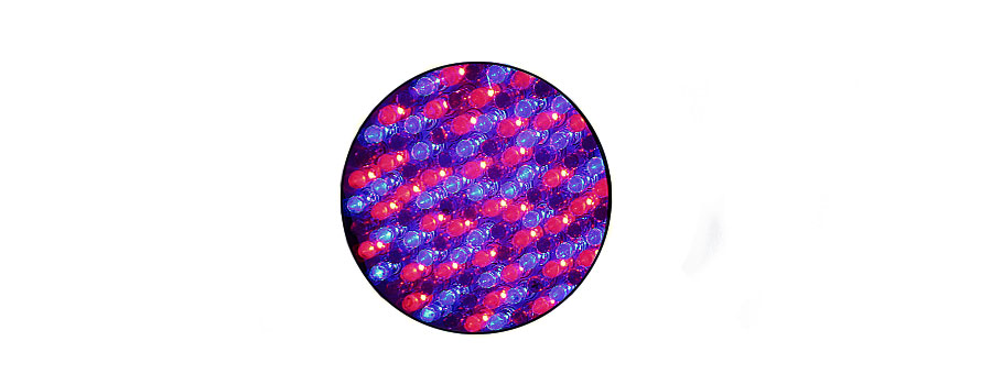 LED STANDARD (