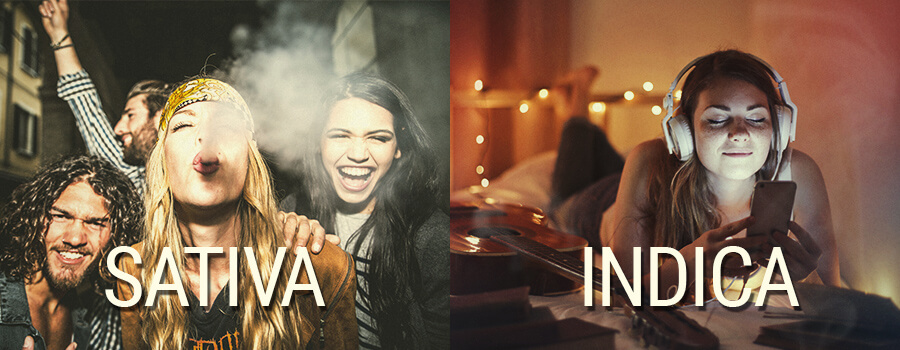 Sativa vs effetti Indica