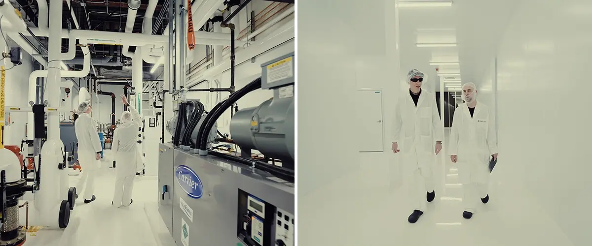 Coltivazione di Cannabis CRIC Labs in Inverno Canadese Guida Un'illustrazione di Max che si avvicina a CRIC Labs in un inverno canadese innevato, in contrasto con una sala di coltivazione interna high-tech con ibridi di cannabis, illuminazione avanzata e controllo climatico, su uno sfondo verde.