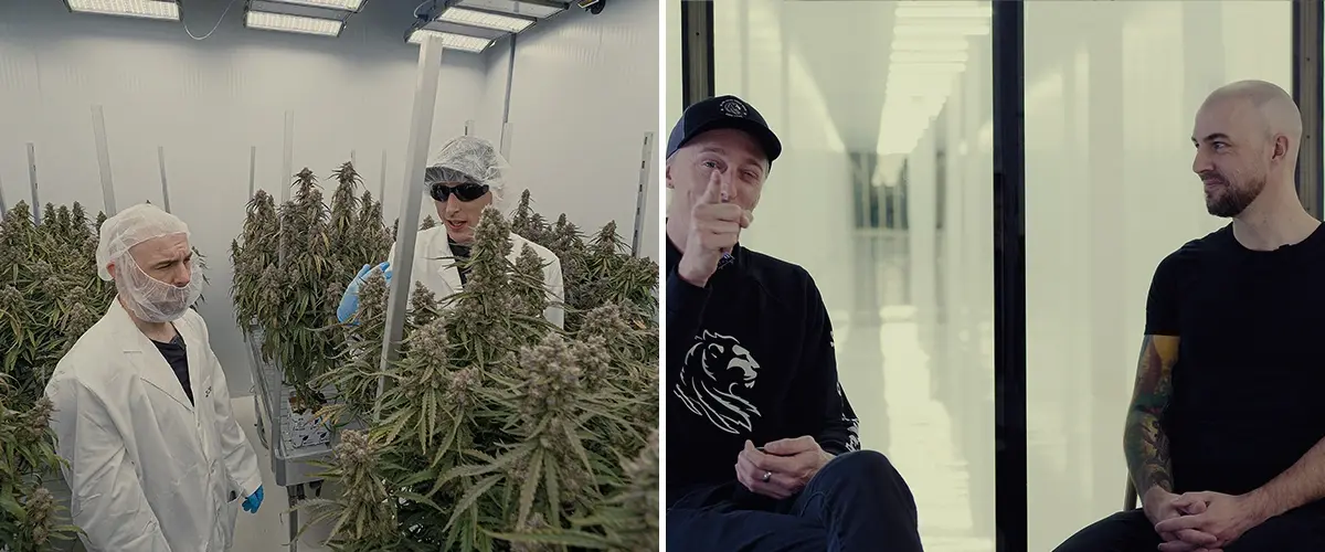 Simon CRIC Labs Ruolo di Ricerca Cannabis Guida Un'illustrazione di Simon di CRIC Labs che discute del suo ruolo di ricerca con Max, in un ambiente di coltivazione interna high-tech con piante di cannabis, strumenti di raccolta dati e piattaforme software, su uno sfondo verde.