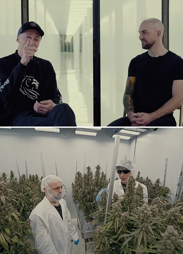 Simon CRIC Labs Ruolo di Ricerca Cannabis Guida Un'illustrazione di Simon di CRIC Labs che discute del suo ruolo di ricerca con Max, in un ambiente di coltivazione interna high-tech con piante di cannabis, strumenti di raccolta dati e piattaforme software, su uno sfondo verde.