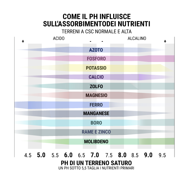 Come Il PH Influisce Sull'assorbimentodei Nutrienti Terreni a CSC Normale e Alta