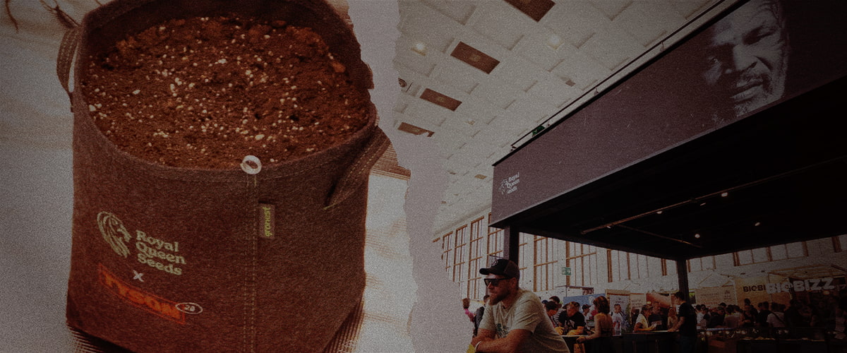 Seminare il futuro – Vaso Royal Queen Seeds x Tyson 2.0 alla fiera della cannabis Vaso da coltivazione in tessuto Royal Queen Seeds x Tyson 2.0 pieno di terra, accanto a uno stand affollato in una fiera del cannabis con l'immagine di Mike Tyson sullo sfondo.