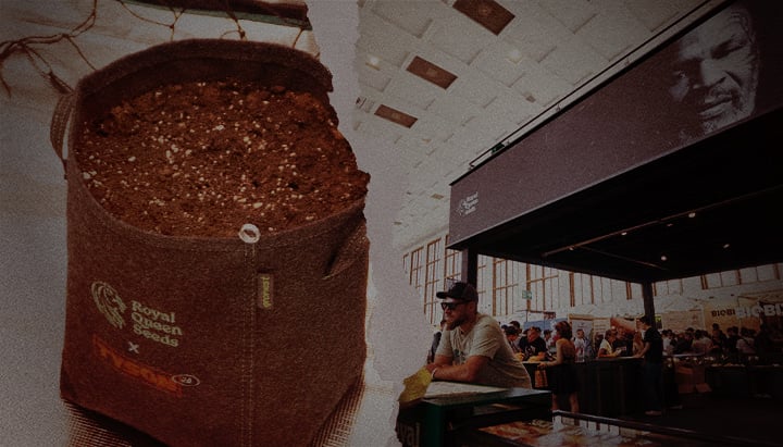 Seminare il futuro – Vaso Royal Queen Seeds x Tyson 2.0 alla fiera della cannabis Vaso da coltivazione in tessuto Royal Queen Seeds x Tyson 2.0 pieno di terra, accanto a uno stand affollato in una fiera del cannabis con l'immagine di Mike Tyson sullo sfondo.