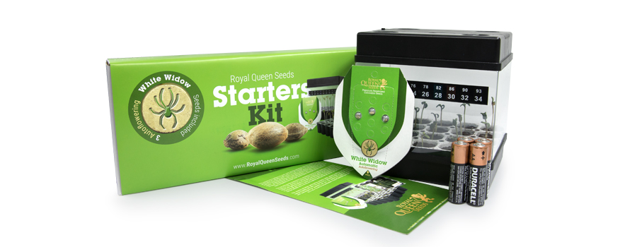 Starter Kit Autofiorenti Royal Queen Seeds Starter Kit Autofiorenti Royal Queen Seeds