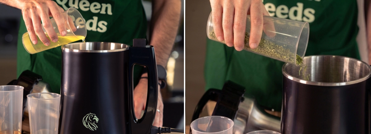 Scopri come preparare e decarbossilare la cannabis, quindi aggiungerla con oli naturali a un infusore per ottenere un’infusione omogenea di olio di cannabis.