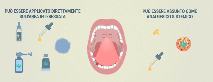 In Che Modo Il Cbd Può Alleviare Il Mal Di Denti