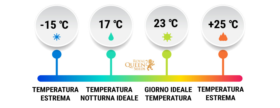NELLA GERMINAZIONE LA TEMPERATURA RICOPRE UN RUOLO FONDAMENTALE NELLA GERMINAZIONE LA TEMPERATURA RICOPRE UN RUOLO FONDAMENTALE