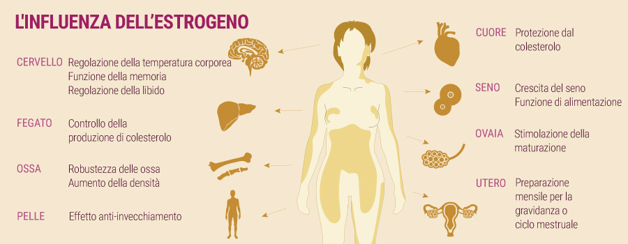 L'influenza di estrogeni e cannabis L'influenza di estrogeni e cannabis