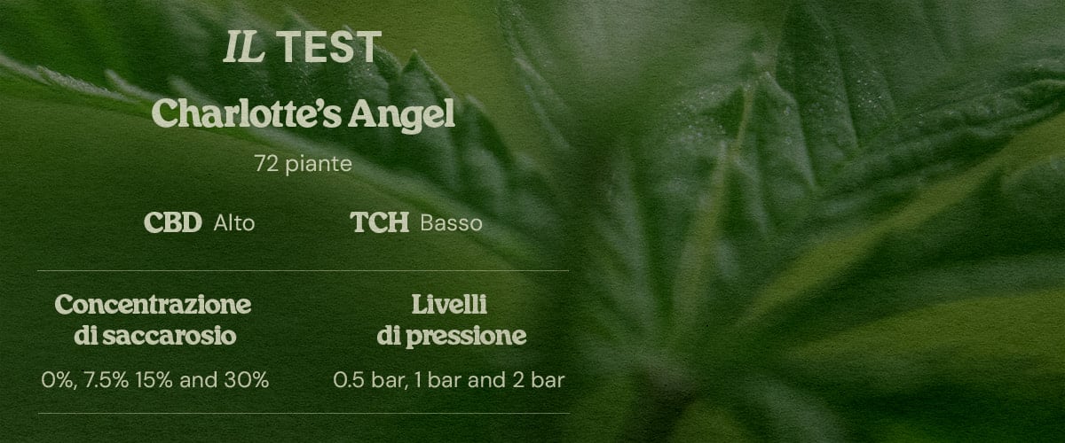 Design test PSIS Charlotte’s Angel 72 piante alto CBD basso THC concentrazioni saccarosio 0% 7.5% 15% 30% e pressioni 0.5 bar 1 bar 2 bar