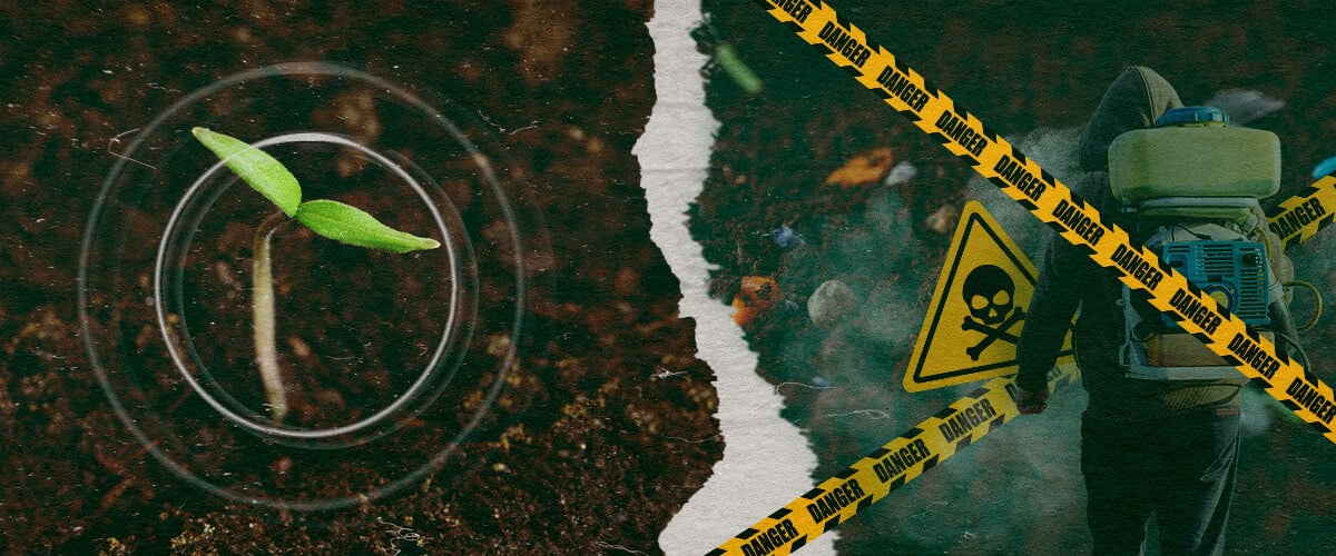 Il contrasto tra la crescita sana delle piante e i pericoli dei fungicidi sintetici nell'agricoltura moderna, evidenziando la necessità di alternative organiche.