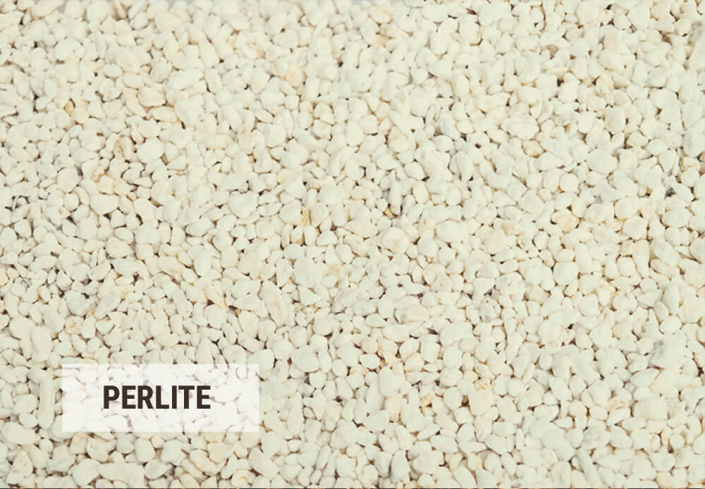 Consigli Per Riutilizzare L'Argilla Espansa O La Perlite Consigli Per Riutilizzare L'Argilla Espansa O La Perlite