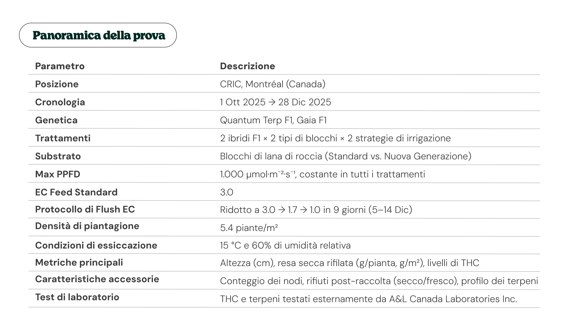 Panoramica di una prova sulla cannabis a Montréal, con genetica, trattamenti, substrato, illuminazione, metriche di resa, profili terpenici e analisi di laboratorio.