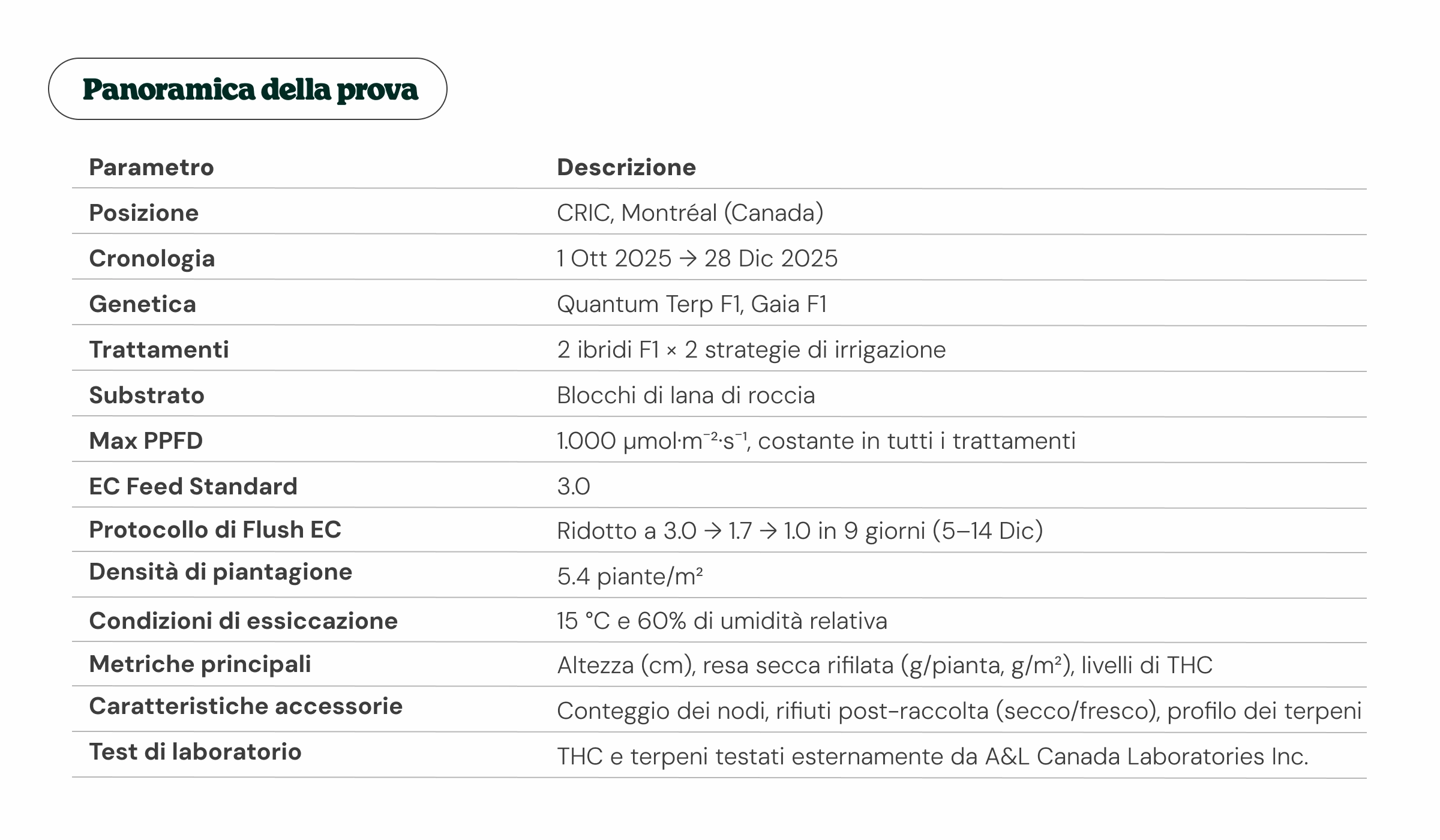 Panoramica della prova sulla cannabis: progettazione sperimentale e parametri chiave Panoramica di una prova sulla cannabis a Montréal, con genetica, trattamenti, substrato, illuminazione, metriche di resa, profili terpenici e analisi di laboratorio.