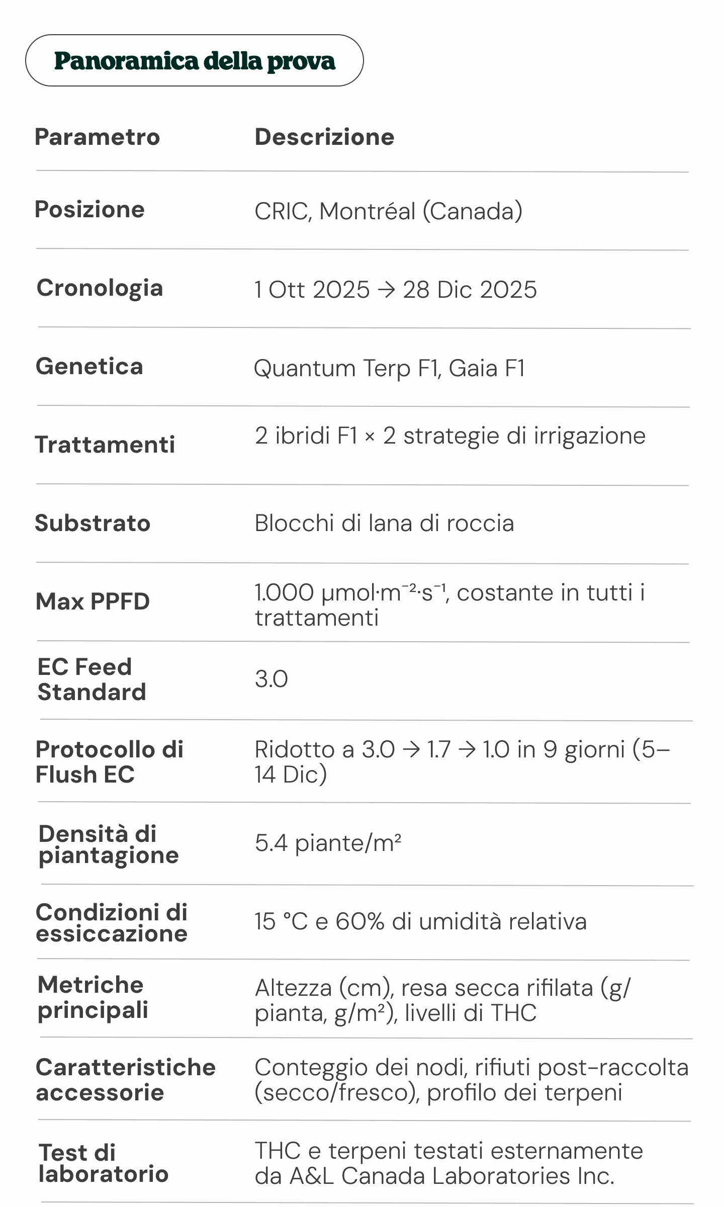 Panoramica della prova sulla cannabis: genetica, trattamenti e metriche Panoramica della prova sulla cannabis: progettazione sperimentale e parametri chiave
