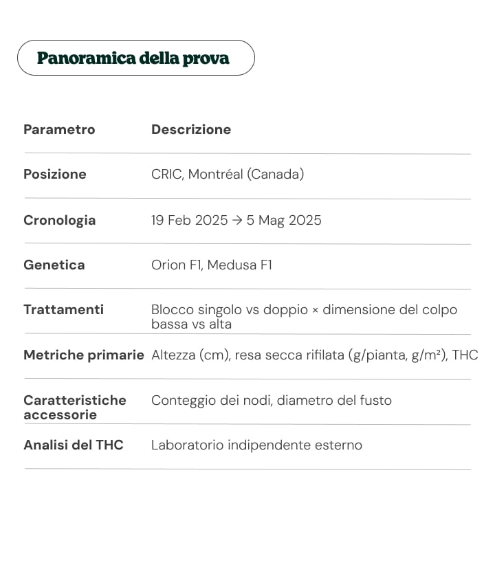 Tabella riepilogativa della prova con sede CRIC, tempistiche, genetiche di cannabis, trattamenti e parametri analizzati