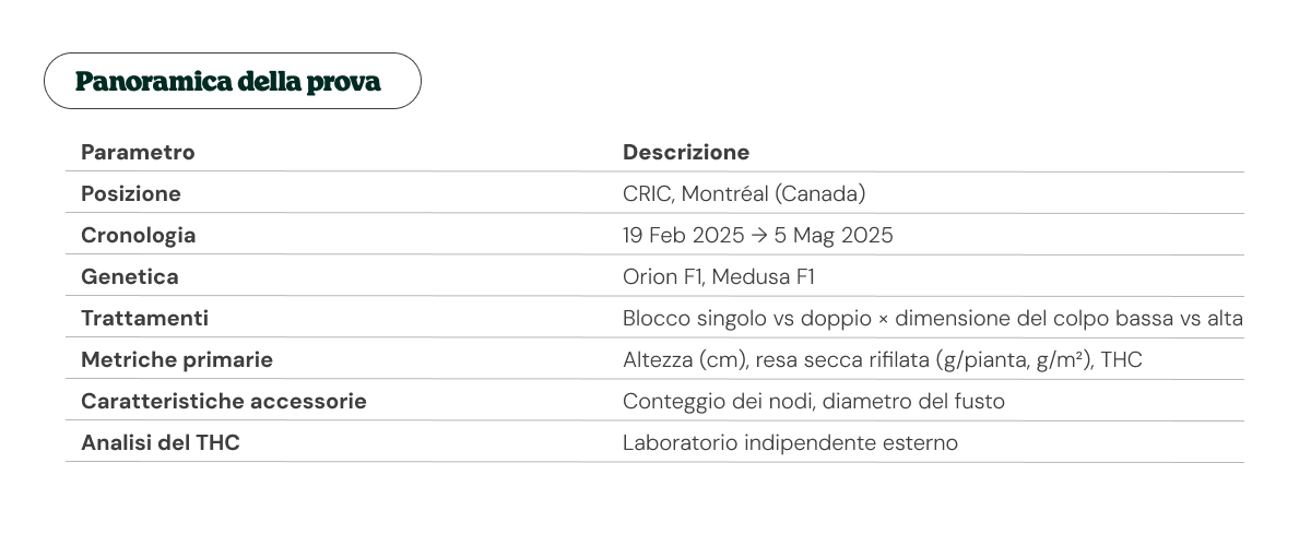 Tabella riepilogativa della prova con sede CRIC, tempistiche, genetiche di cannabis, trattamenti e parametri analizzati