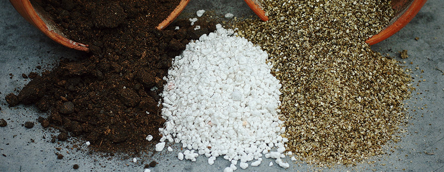 Tipi Di Coltivazione Di Cannabis Perlite Del Suolo Tipi Di Coltivazione Di Cannabis Perlite Del Suolo