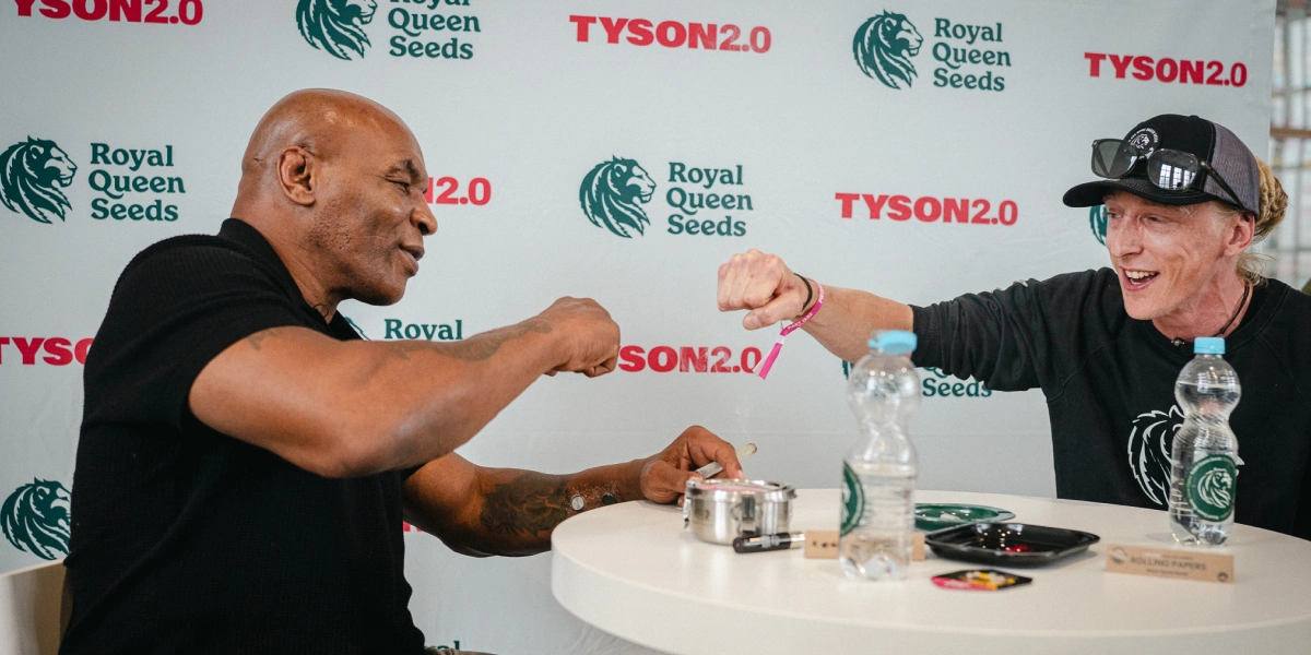Mike Tyson parla di cultura della cannabis con Max Majot Guarda Mike Tyson e il master grower Max Majot parlare della cultura della cannabis in Europa, delle varietà più interessanti e di ciò che conta di più per i coltivatori.