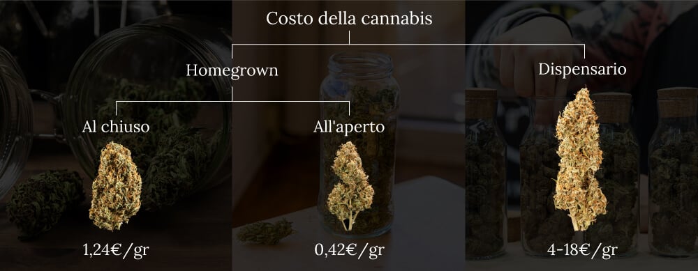 Weed cost homegrown