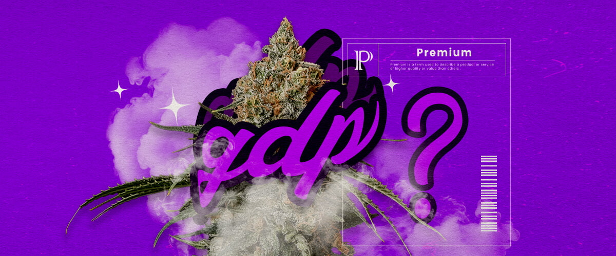 Guida Info Varietà Cannabis Granddaddy Purple Un'illustrazione di boccioli di cannabis Granddaddy Purple con tonalità viola profonde e struttura densa, evidenziando i suoi tratti ibridi dominanti indica e il suo aroma dolce di uva, su uno sfondo verde.