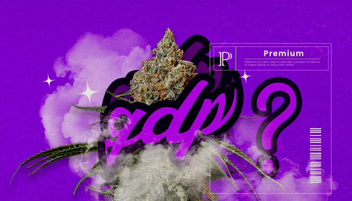 Guida Info Varietà Cannabis Granddaddy Purple Un'illustrazione di boccioli di cannabis Granddaddy Purple con tonalità viola profonde e struttura densa, evidenziando i suoi tratti ibridi dominanti indica e il suo aroma dolce di uva, su uno sfondo verde.