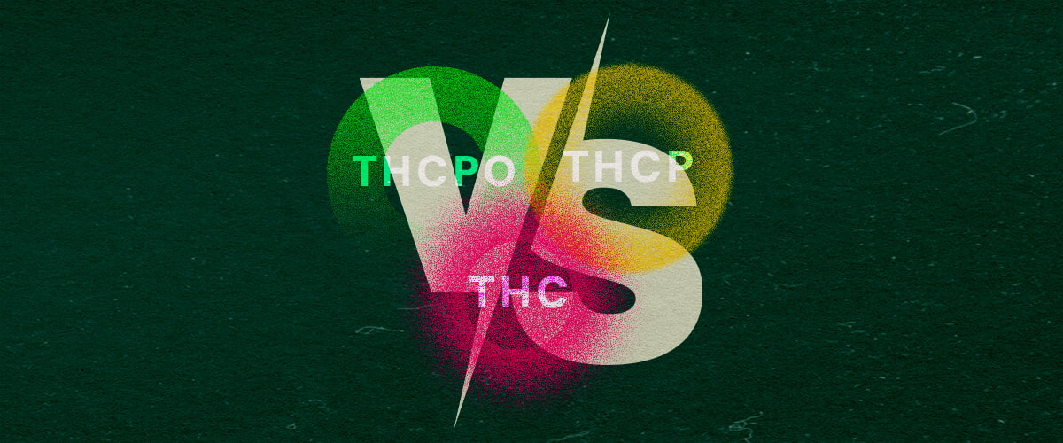 Scopri le Differenze tra THCPO, THCP e THC con Questa Grafica di Confronto Vibrante Grafica colorata che confronta THCPO, THCP e THC con testo in grassetto e tonalità vibranti verdi, rosa e gialle su uno sfondo verde scuro, perfetta per articoli di confronto sul cannabis.