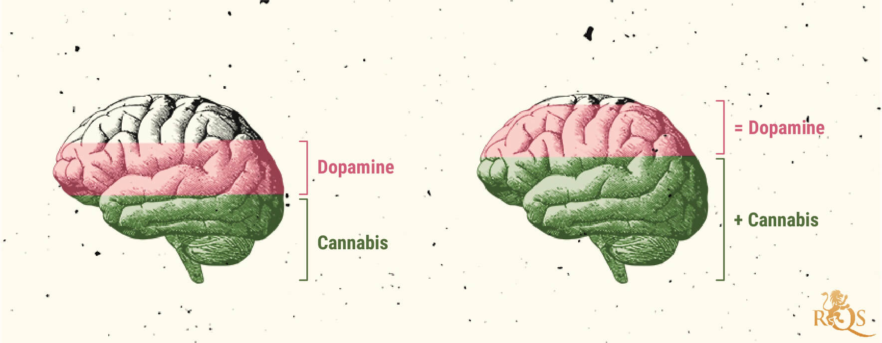 Possibili cause del disturbo da uso di marijuana