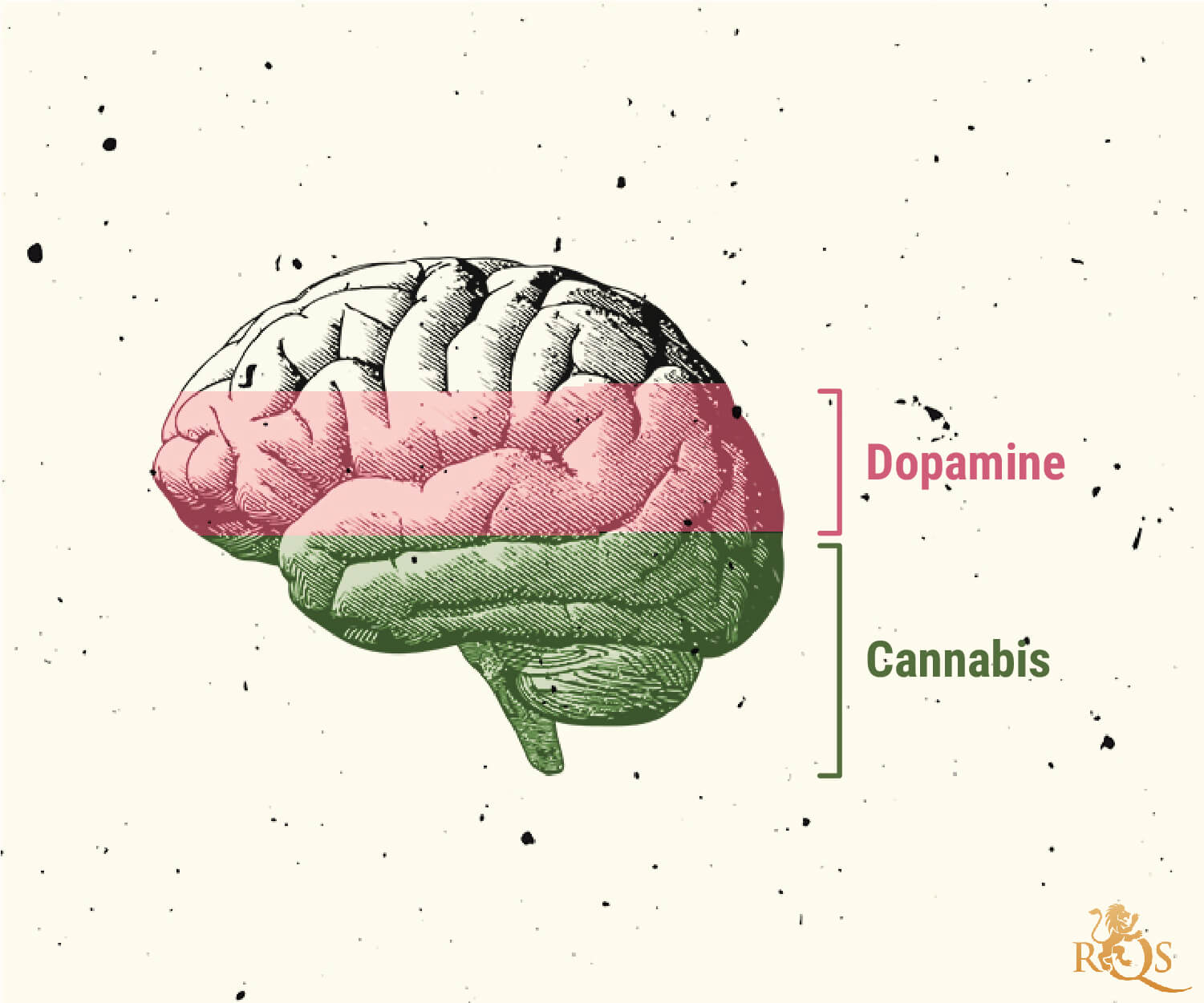 Possibili cause del disturbo da uso di marijuana