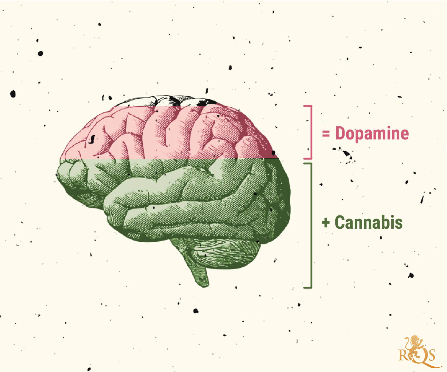 Possibili cause del disturbo da uso di marijuana