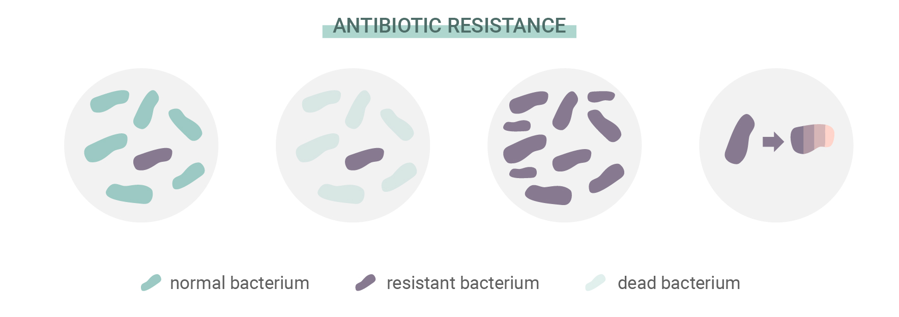 Cos’è la resistenza agli antibiotici? Cos’è la resistenza agli antibiotici?