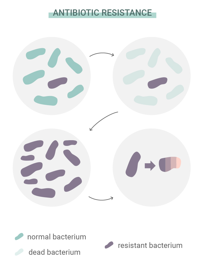 Cos’è la resistenza agli antibiotici? Cos’è la resistenza agli antibiotici?