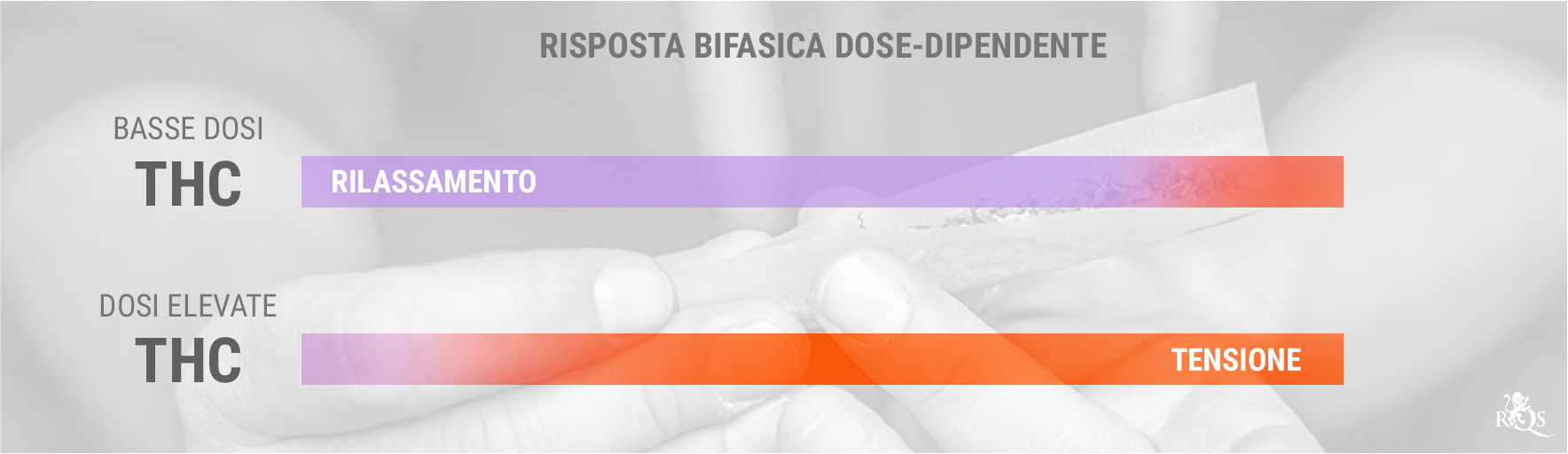 THC e la Risposta Bifasica Dose-Dipendente THC e la Risposta Bifasica Dose-Dipendente
