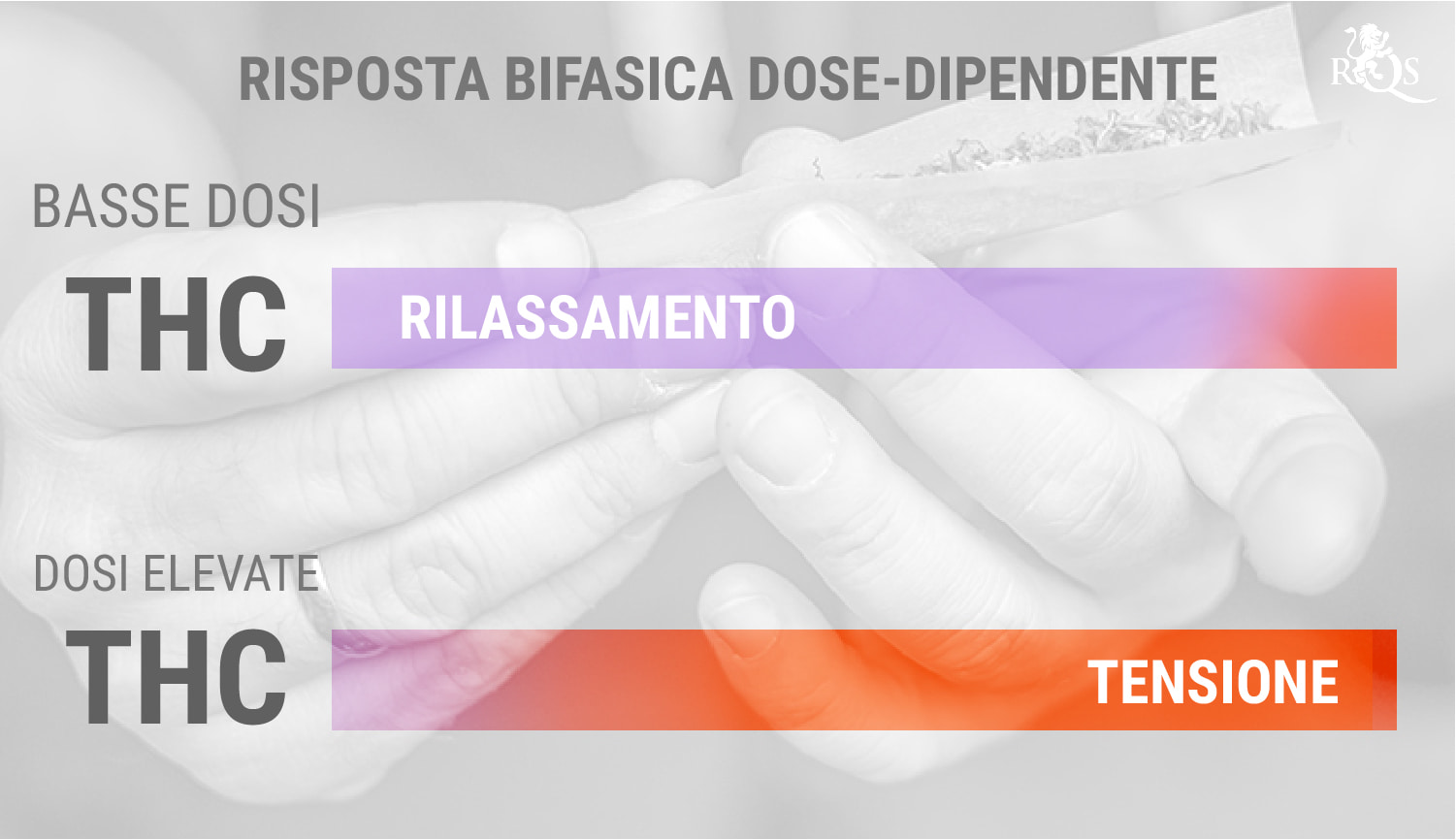 THC e la Risposta Bifasica Dose-Dipendente THC e la Risposta Bifasica Dose-Dipendente
