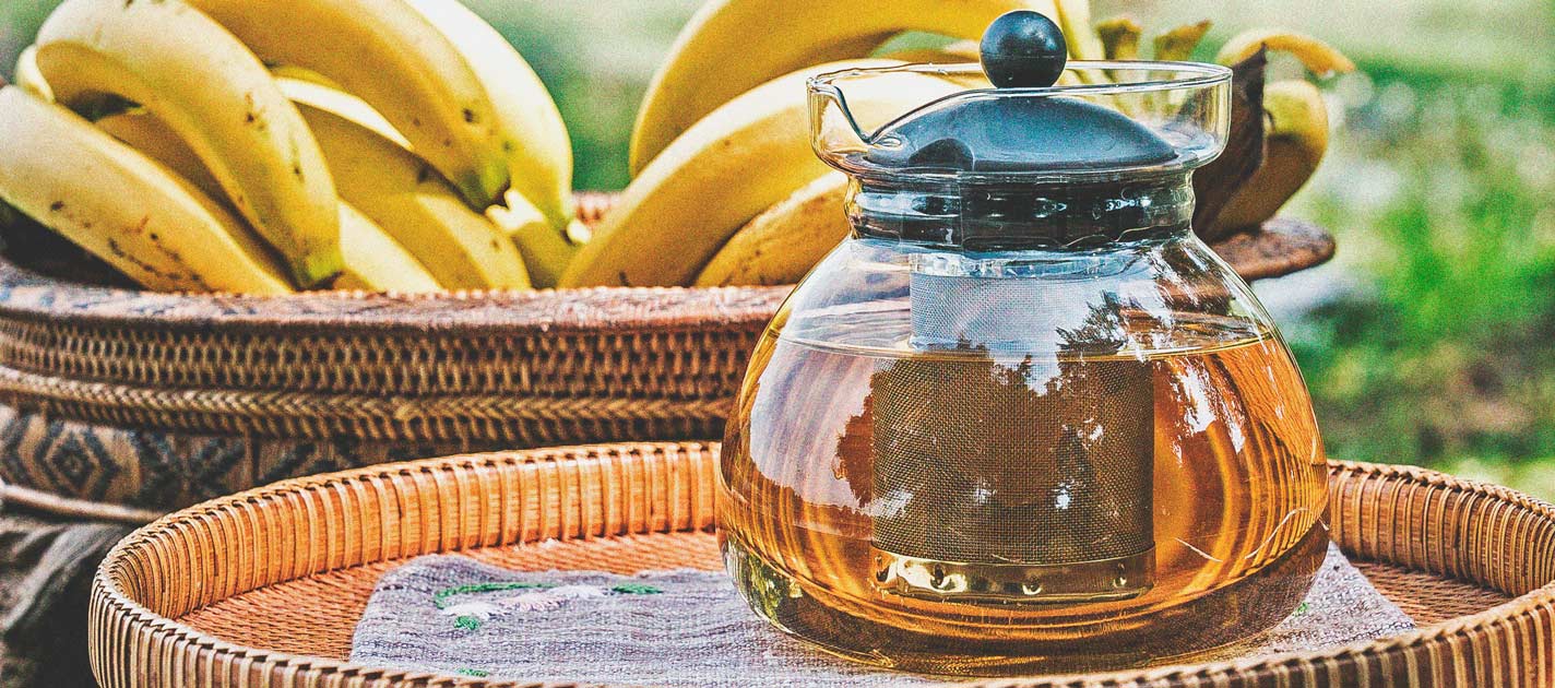 Sostanze Nutritive Biologiche e Cure per la Cannabis Sostanze Nutritive Biologiche e Cure per la Cannabis