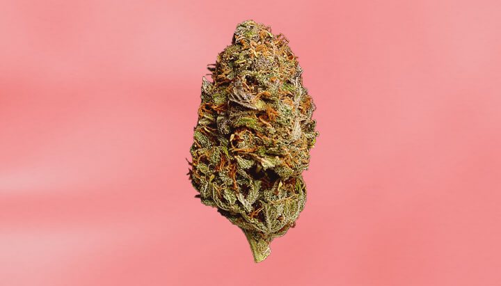 Strawberry Cough Strain