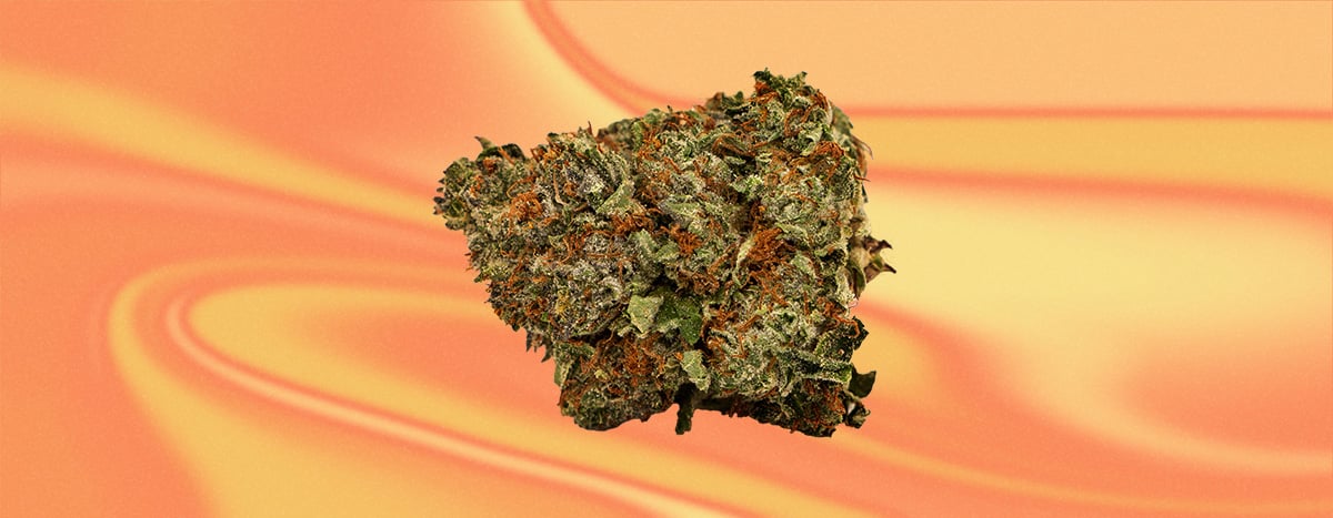 Chemdawg Cannabis Strain