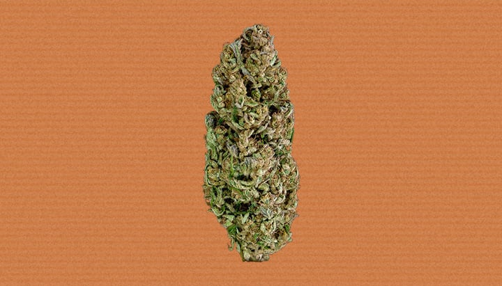 Hindu Kush Cannabis Strain