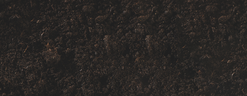 Soil