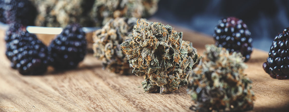 Una guida al sapore ed effetti delle varietà di cannabis