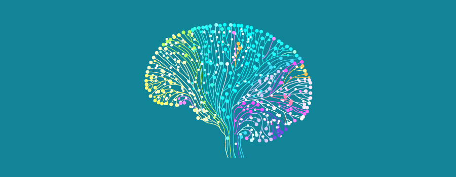 Cervello e Cannabis Cervello e Cannabis