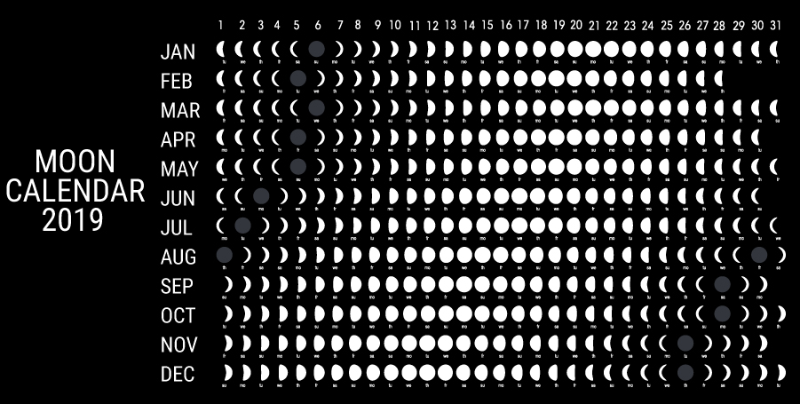 Moon Moon Calendar