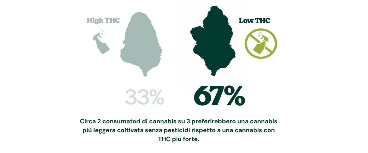 La maggior parte dei consumatori preferisce una cannabis più pulita Infografica che mostra come il 67% dei consumatori di cannabis sceglierebbe cannabis con meno THC coltivata senza pesticidi invece di cannabis più forte con un contenuto di THC più elevato, mentre il 33% sceglierebbe cannabis ad alto contenuto di THC.