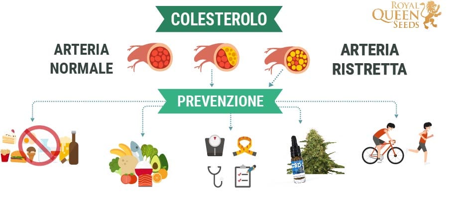 Colesterolo e cannabis