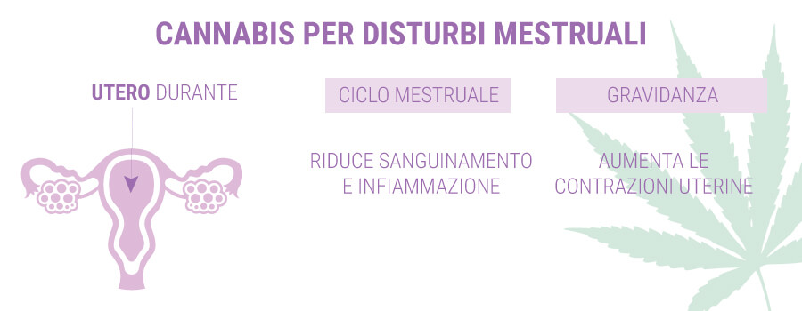 CANNABIS PER DISTURBI MESTRUALI CANNABIS PER DISTURBI MESTRUALI